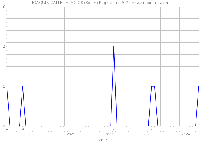 JOAQUIN CALLE PALACIOS (Spain) Page visits 2024 