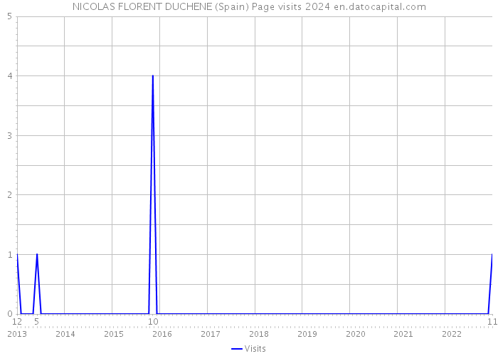 NICOLAS FLORENT DUCHENE (Spain) Page visits 2024 