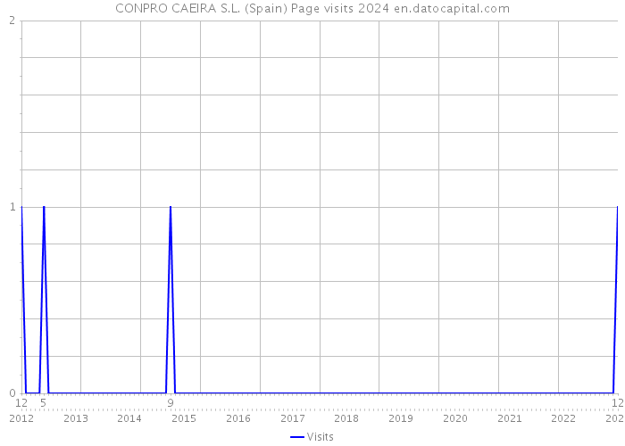 CONPRO CAEIRA S.L. (Spain) Page visits 2024 