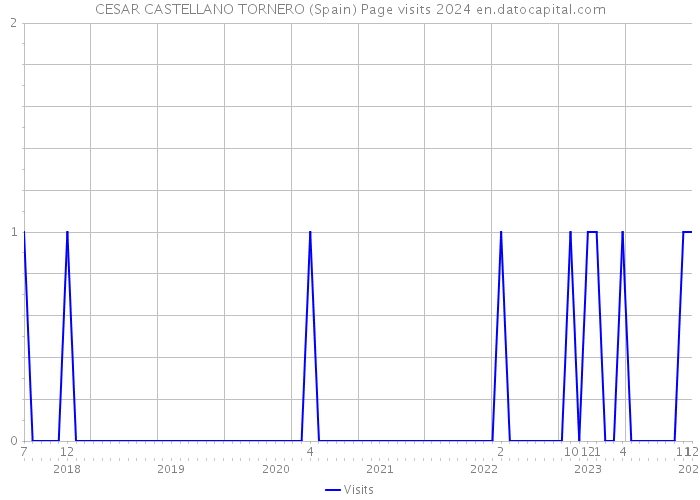 CESAR CASTELLANO TORNERO (Spain) Page visits 2024 