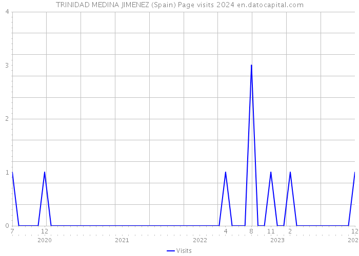 TRINIDAD MEDINA JIMENEZ (Spain) Page visits 2024 