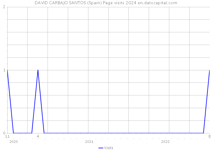 DAVID CARBAJO SANTOS (Spain) Page visits 2024 