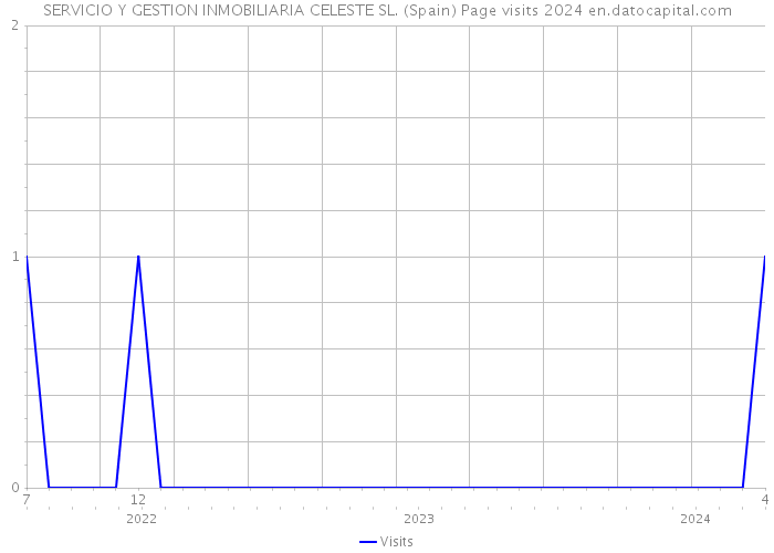 SERVICIO Y GESTION INMOBILIARIA CELESTE SL. (Spain) Page visits 2024 