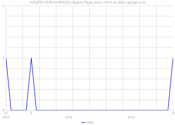 VIOLETA DURAN PRADO (Spain) Page visits 2024 