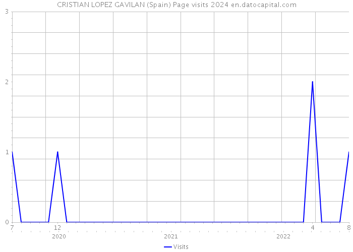 CRISTIAN LOPEZ GAVILAN (Spain) Page visits 2024 