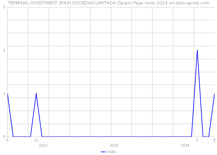 TERMINAL INVESTMENT SPAIN SOCIEDAD LIMITADA (Spain) Page visits 2024 