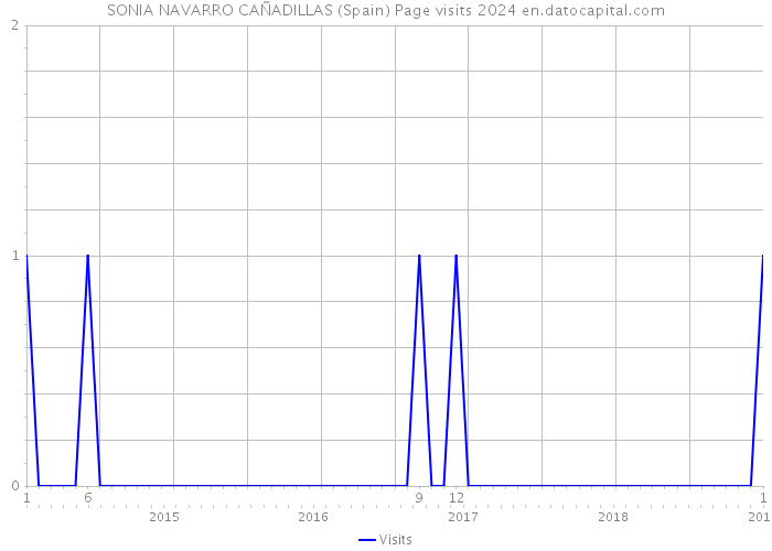 SONIA NAVARRO CAÑADILLAS (Spain) Page visits 2024 