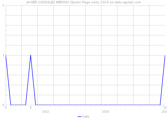 JAVIER GONZALEZ MERINO (Spain) Page visits 2024 