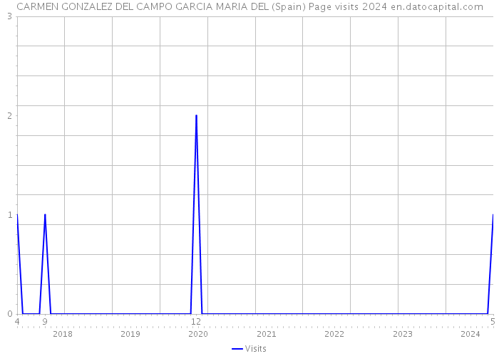 CARMEN GONZALEZ DEL CAMPO GARCIA MARIA DEL (Spain) Page visits 2024 
