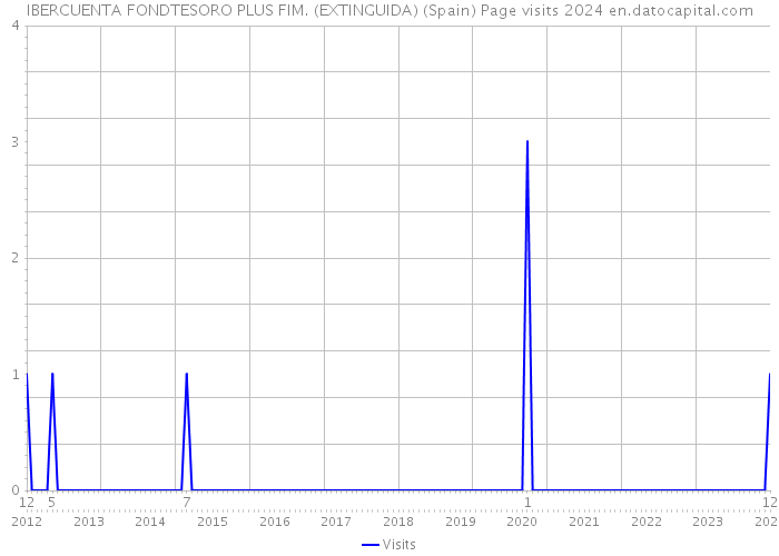 IBERCUENTA FONDTESORO PLUS FIM. (EXTINGUIDA) (Spain) Page visits 2024 