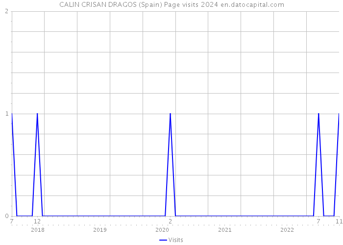 CALIN CRISAN DRAGOS (Spain) Page visits 2024 