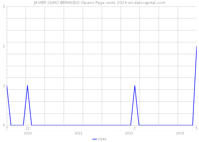 JAVIER OLMO BERMUDO (Spain) Page visits 2024 