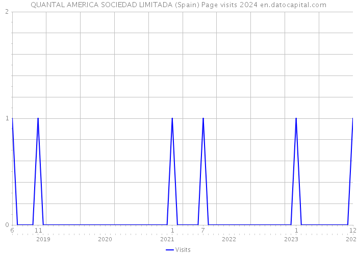 QUANTAL AMERICA SOCIEDAD LIMITADA (Spain) Page visits 2024 