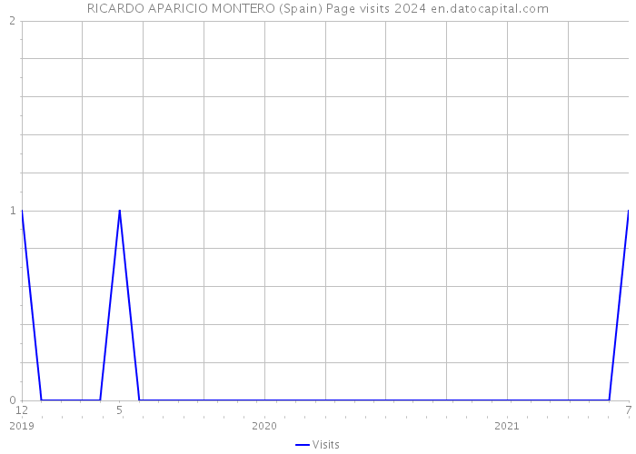 RICARDO APARICIO MONTERO (Spain) Page visits 2024 