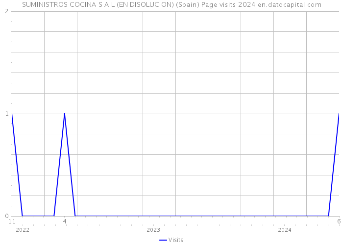 SUMINISTROS COCINA S A L (EN DISOLUCION) (Spain) Page visits 2024 