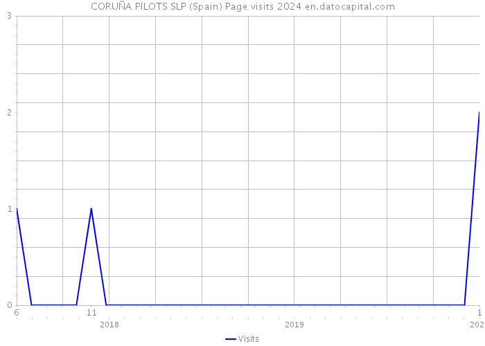 CORUÑA PILOTS SLP (Spain) Page visits 2024 