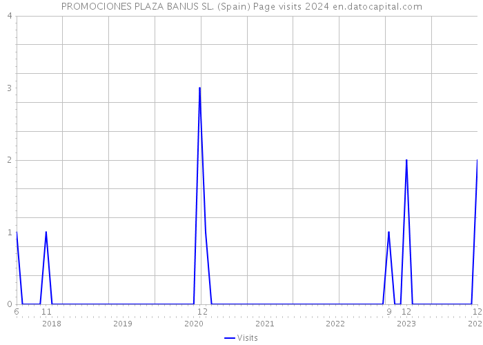 PROMOCIONES PLAZA BANUS SL. (Spain) Page visits 2024 