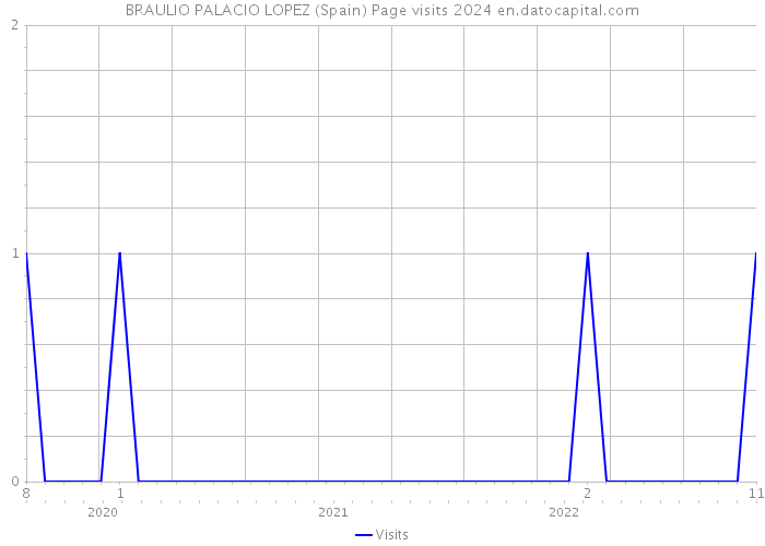 BRAULIO PALACIO LOPEZ (Spain) Page visits 2024 