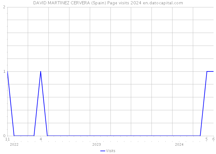 DAVID MARTINEZ CERVERA (Spain) Page visits 2024 