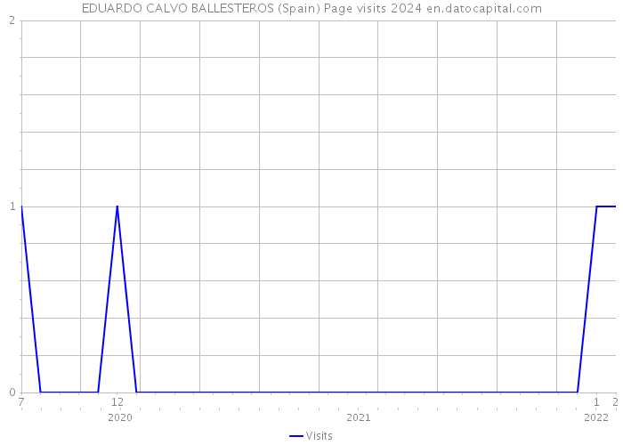 EDUARDO CALVO BALLESTEROS (Spain) Page visits 2024 