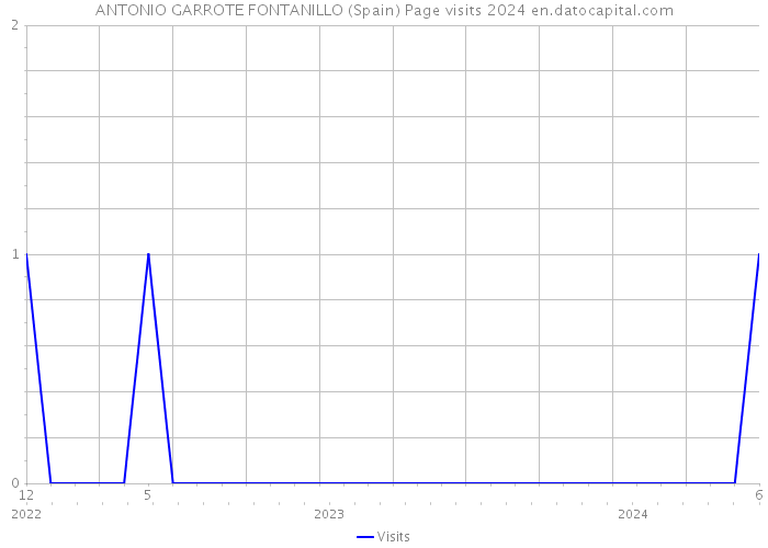 ANTONIO GARROTE FONTANILLO (Spain) Page visits 2024 