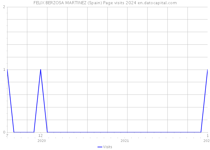 FELIX BERZOSA MARTINEZ (Spain) Page visits 2024 
