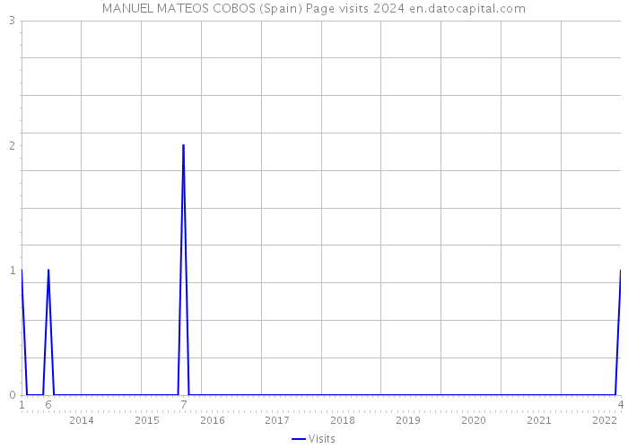 MANUEL MATEOS COBOS (Spain) Page visits 2024 