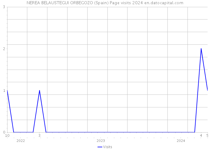 NEREA BELAUSTEGUI ORBEGOZO (Spain) Page visits 2024 