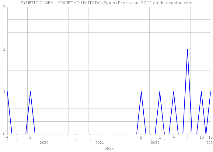 SYNETIC GLOBAL, SOCIEDAD LIMITADA (Spain) Page visits 2024 
