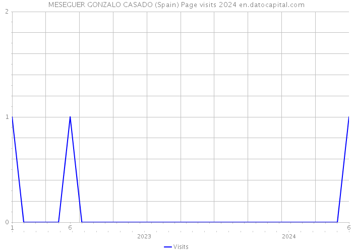MESEGUER GONZALO CASADO (Spain) Page visits 2024 