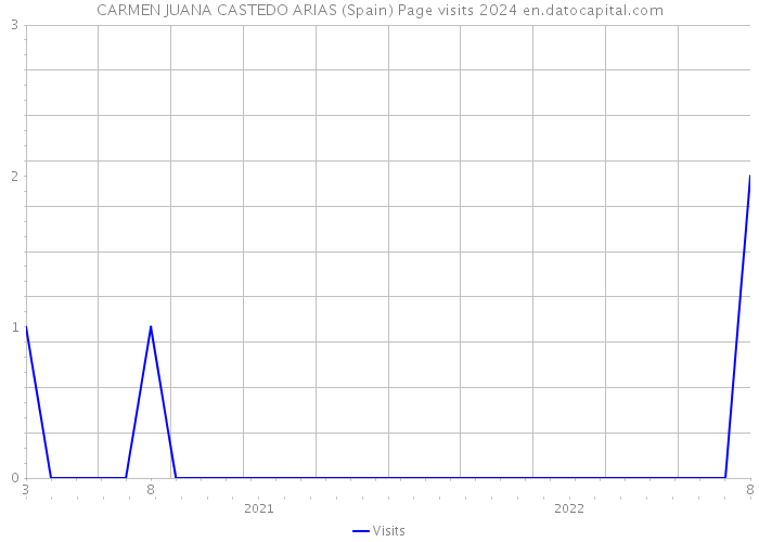 CARMEN JUANA CASTEDO ARIAS (Spain) Page visits 2024 