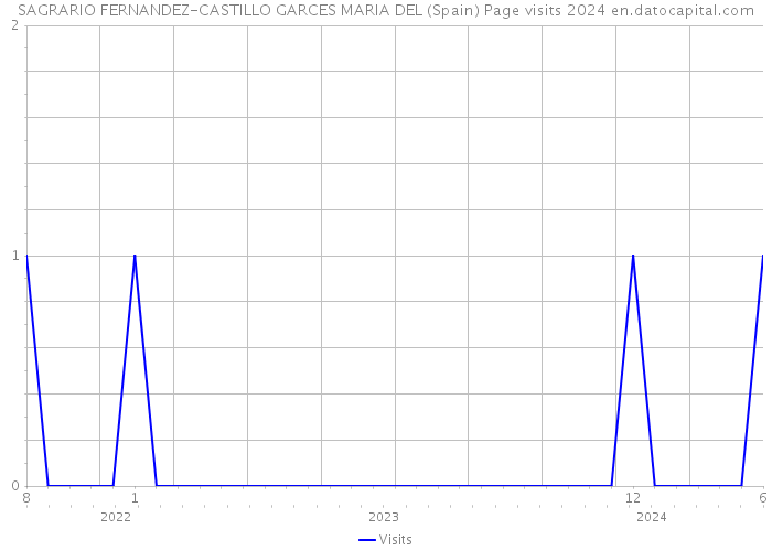 SAGRARIO FERNANDEZ-CASTILLO GARCES MARIA DEL (Spain) Page visits 2024 