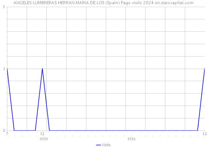 ANGELES LUMBRERAS HERRAN MARIA DE LOS (Spain) Page visits 2024 