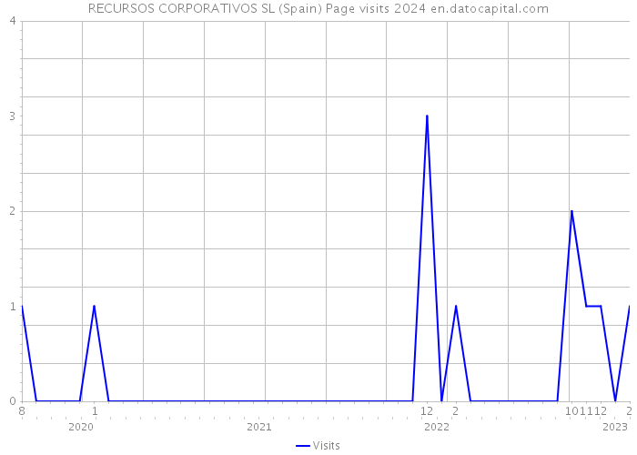RECURSOS CORPORATIVOS SL (Spain) Page visits 2024 
