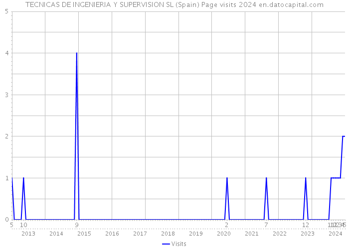 TECNICAS DE INGENIERIA Y SUPERVISION SL (Spain) Page visits 2024 