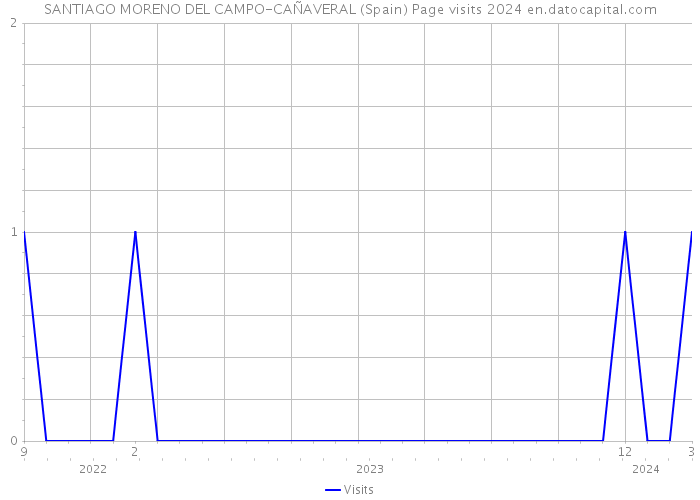 SANTIAGO MORENO DEL CAMPO-CAÑAVERAL (Spain) Page visits 2024 