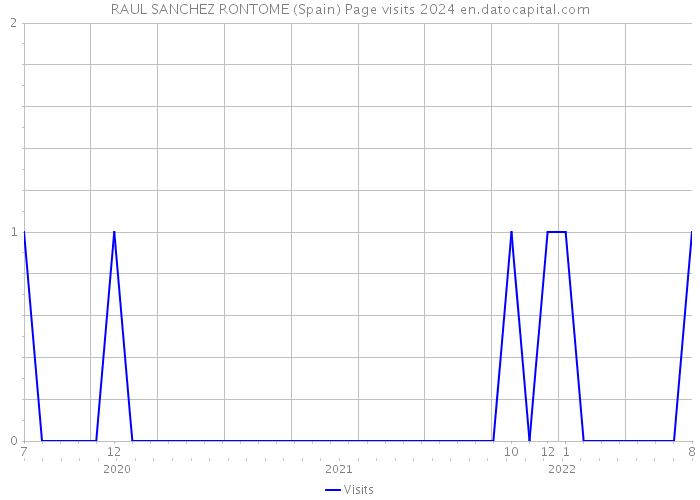 RAUL SANCHEZ RONTOME (Spain) Page visits 2024 