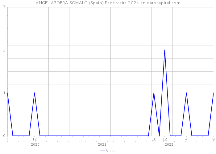 ANGEL AZOFRA SOMALO (Spain) Page visits 2024 