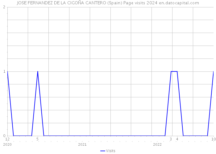 JOSE FERNANDEZ DE LA CIGOÑA CANTERO (Spain) Page visits 2024 