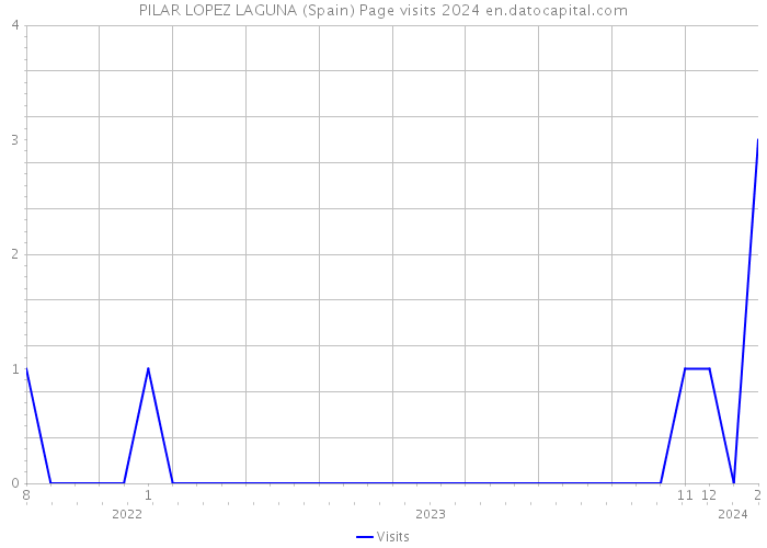 PILAR LOPEZ LAGUNA (Spain) Page visits 2024 