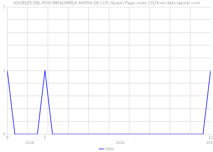 ANGELES DEL PINO BENJUMEDA MARIA DE LOS (Spain) Page visits 2024 