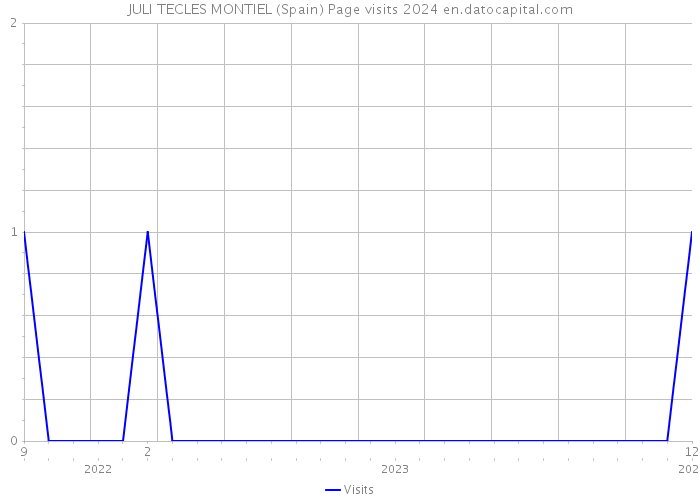 JULI TECLES MONTIEL (Spain) Page visits 2024 