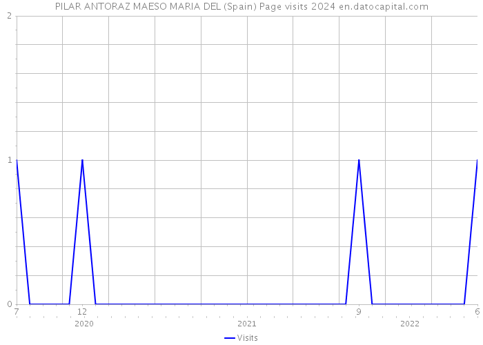 PILAR ANTORAZ MAESO MARIA DEL (Spain) Page visits 2024 