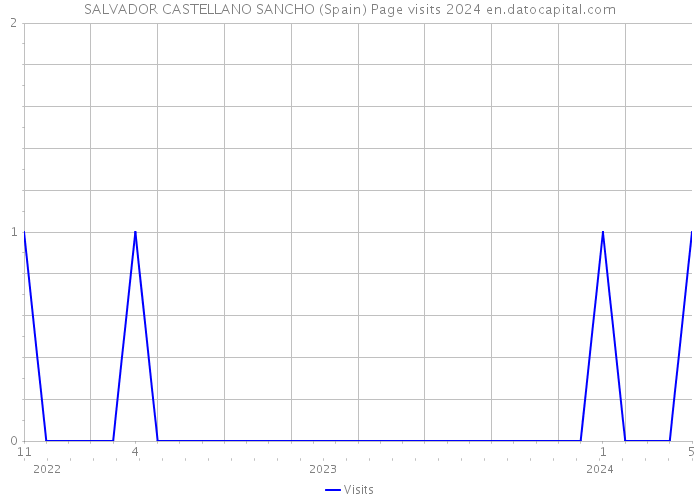 SALVADOR CASTELLANO SANCHO (Spain) Page visits 2024 