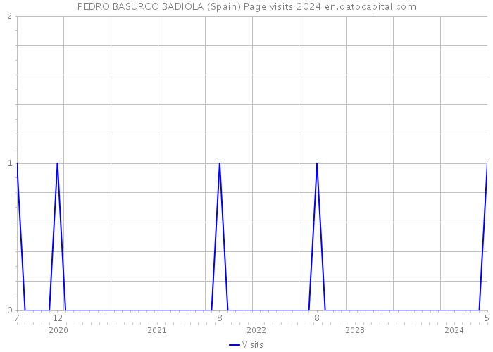 PEDRO BASURCO BADIOLA (Spain) Page visits 2024 