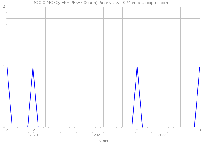 ROCIO MOSQUERA PEREZ (Spain) Page visits 2024 