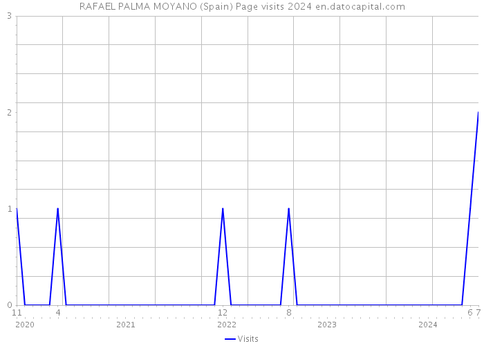 RAFAEL PALMA MOYANO (Spain) Page visits 2024 