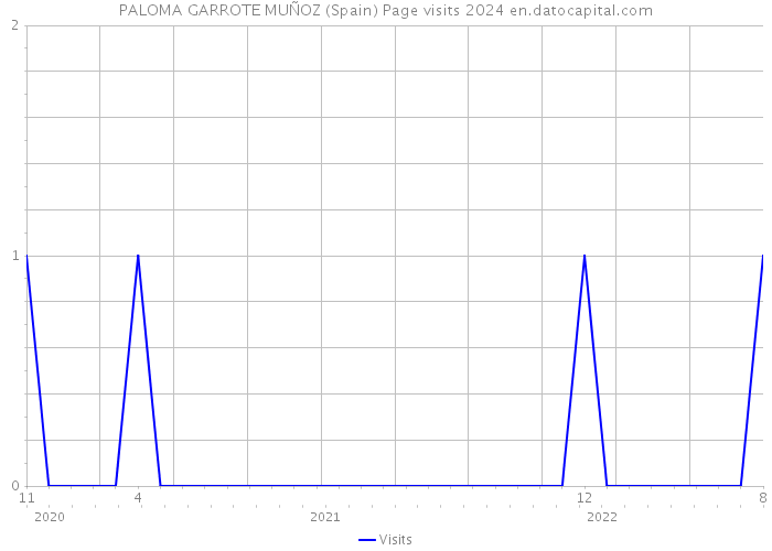 PALOMA GARROTE MUÑOZ (Spain) Page visits 2024 
