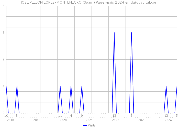 JOSE PELLON LOPEZ-MONTENEGRO (Spain) Page visits 2024 