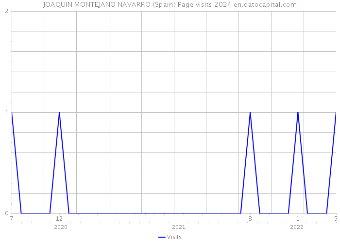 JOAQUIN MONTEJANO NAVARRO (Spain) Page visits 2024 